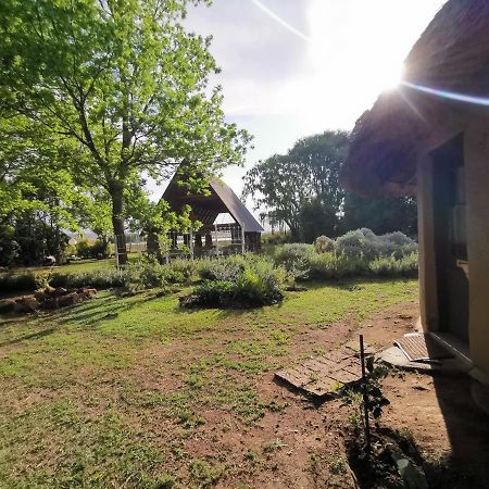 Drakensberg Bush Lodge And Backpackers Winterton Zewnętrze zdjęcie